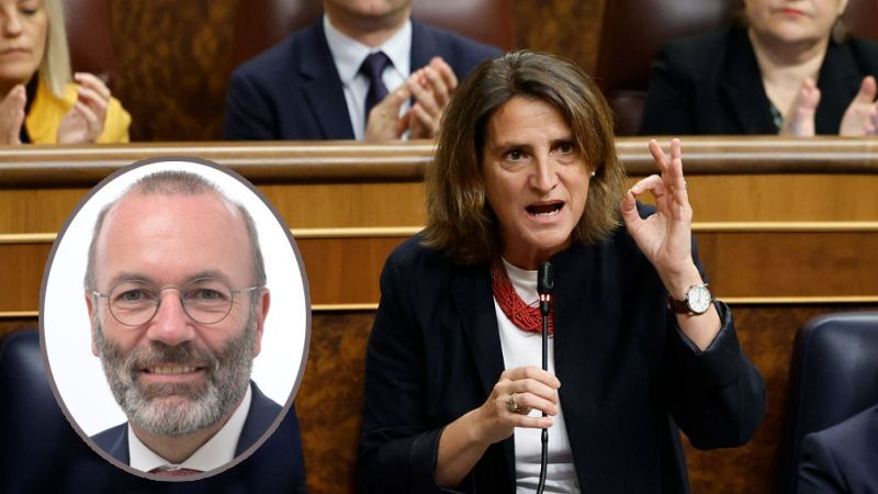 Manfred Weber og Teresa Ribera