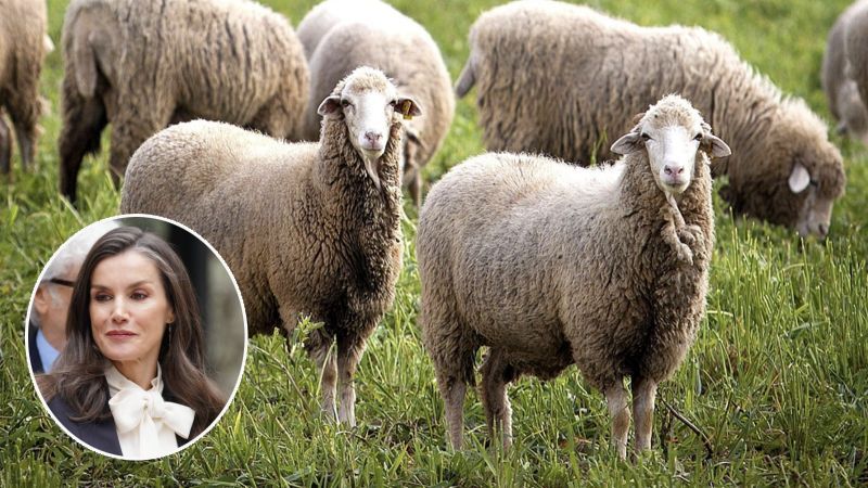 Dronning Letizia deltog