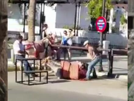 VIDEO: Video af et udmattet æsel i landsby i Málaga florerer for tiden på de sociale medier, og folk er i dén grad forargede.
