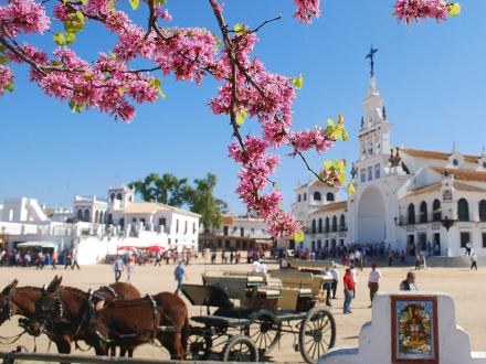 Vores store oplevelse i Doñana startede i El Rocio...