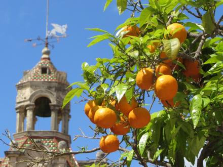 WEEKEND: Dejlige Mallorca trækker tusindvis af sommerturister. Vi går bag om feriestederne og tager dig der ud, hvor næsten ingen kommer