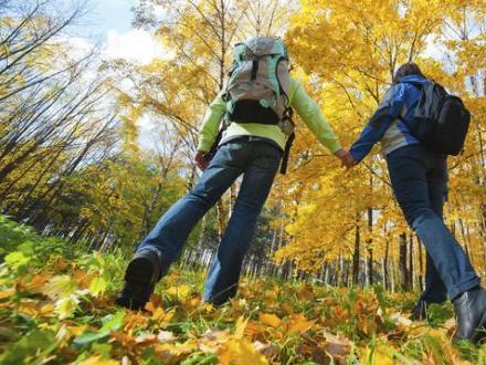 WEEKEND: Gå på opdagelse i det spanske efterår - skovene lokker i al sin pragt